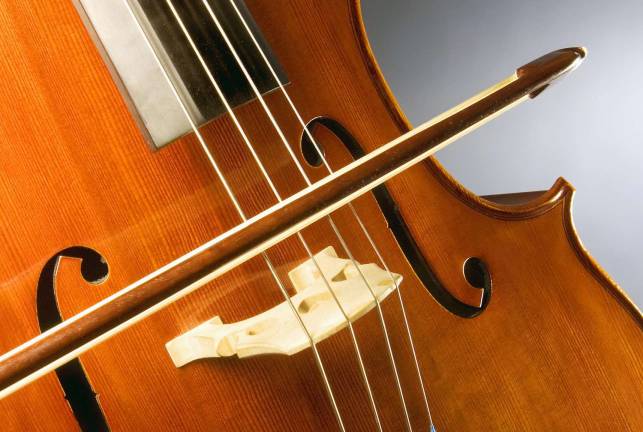 Warwick Valley senior to perform with SUNY Orange Community Orchestra Photo illustration