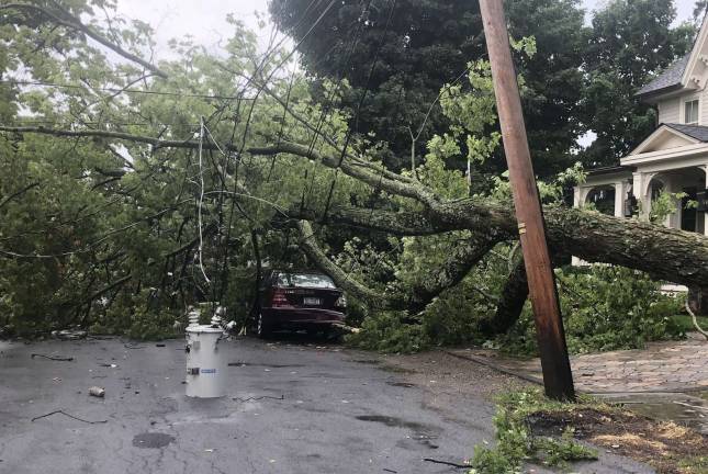 Severe thunderstorms cause havoc in Village of Warwick Photo by Larry Miri This tree brought down wires on Third Street in the Village of Warwick Tuesday afternoon.