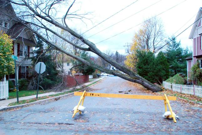 In Sandy’s wake Photo by Ed Bailey This downed tree closed Orchard Street in Warwick.