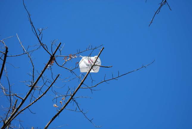 Cuomo to include plastic bag ban proposal in budget Owen Parrish, Creative Commons