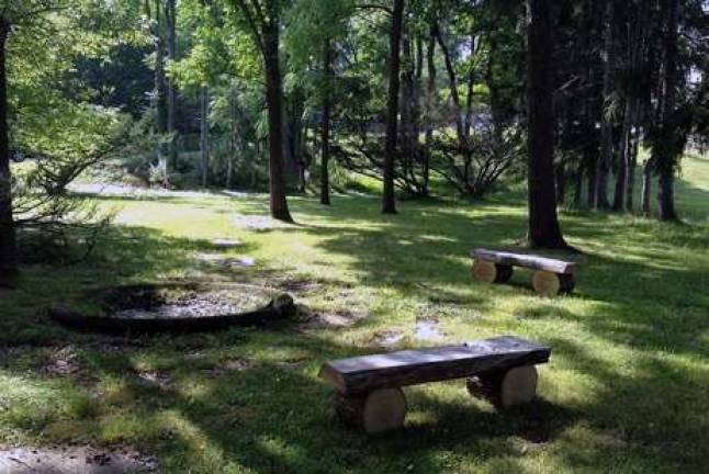 New benches made from Sandy-downed trees were returned to the Woodlands.