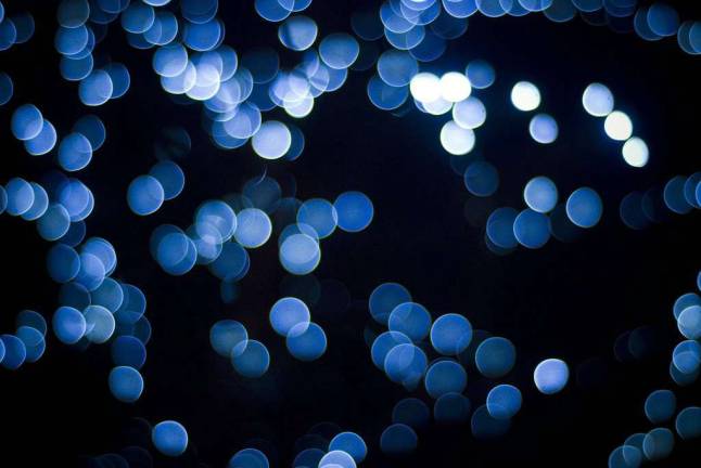 'Holiday Lights in Bloom' at Arboretum extended through Jan. 5 Photo illustration