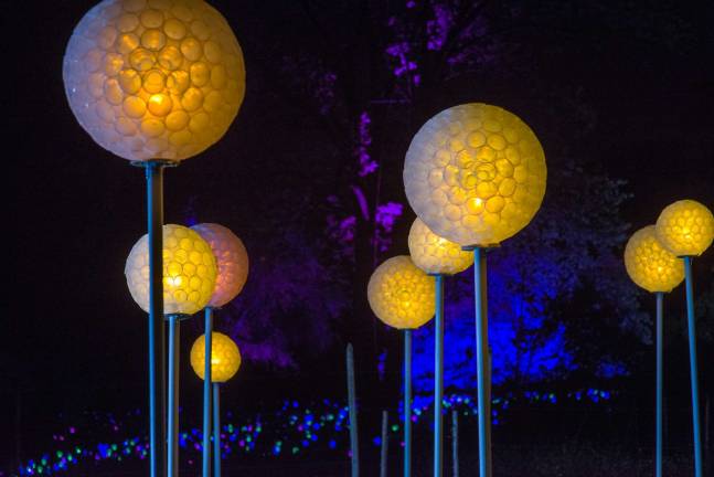 Lightscapes, a brand new art and light experience Glowing dandelions.