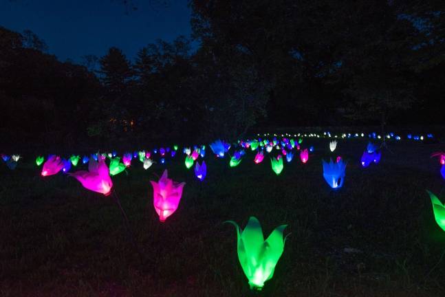 Lightscapes, a brand new art and light experience A field of otherwordly tulips made from recycled jugs