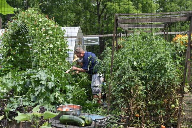 Backyard gardeners open their gates for Kitchen Garden Tour Rachel DiMartino (in hat) giving a tour of the Landmark Inn garden in Warwick, NY.
