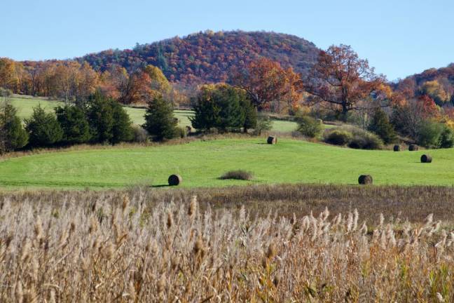 Knapp’s view. Photo: Jeff Zahn