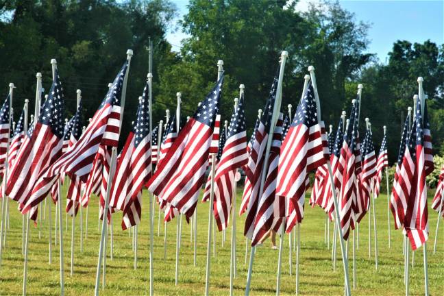 Flags in the Flags for Heroes display on Route 94.