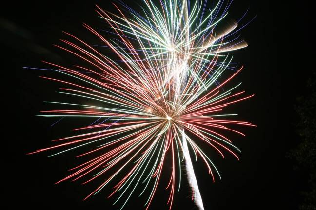 Warwick Annual Firemen's Carnival set for June 26-29 Fireworks are scheduled for Saturday, June 29, at the Warwick Fire Department's annual Firemen's Carnival.