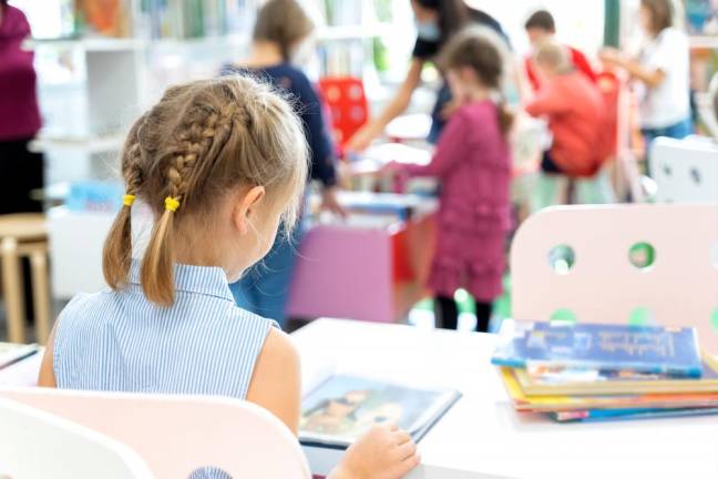 What special education services are offered by local schools? What special education services are offered by local schools?