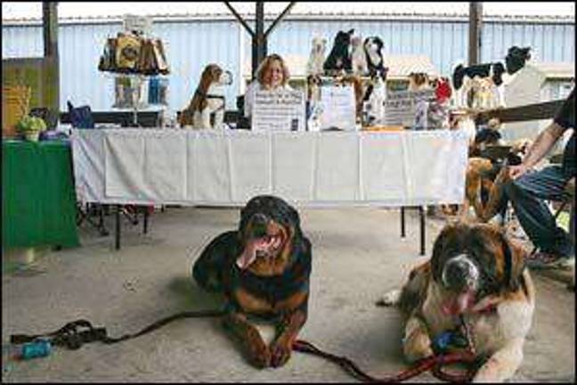 Dog trainers expand business Dog trainers expand business
