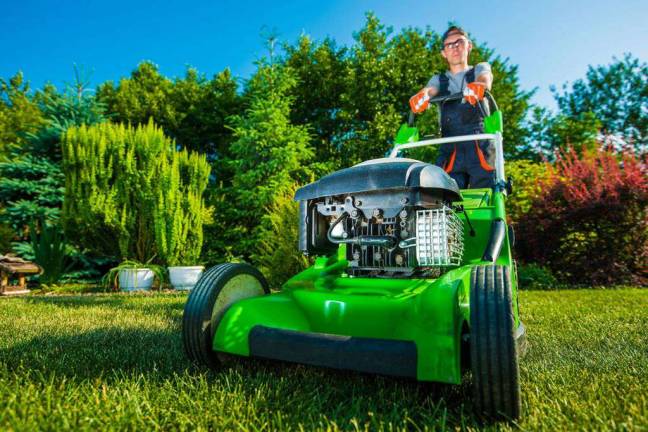 Tips for hiring a local lawn service Tips for hiring a local lawn service