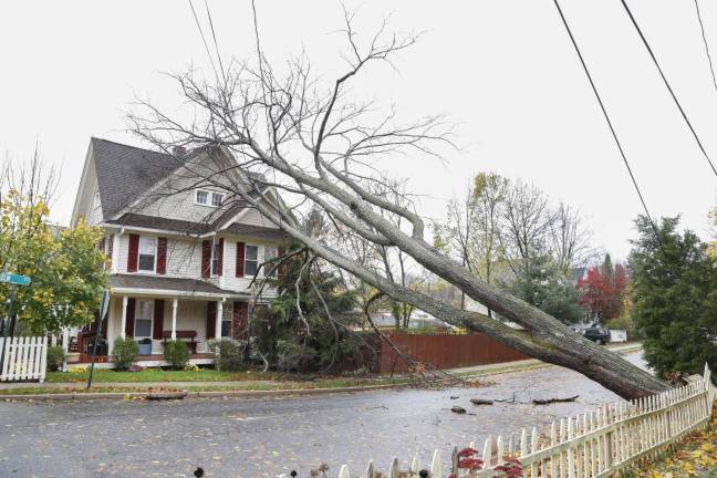 $27 million for hurricane clean up Photo by Robert G. Breese A tree was uprooted on Elm Street in Warwick.
