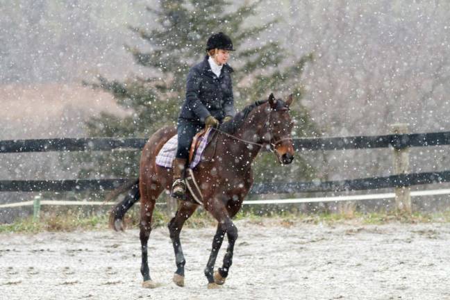 Prancing in the snow Prancing in the snow