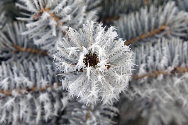 What happens when fog freezes What happens when fog freezes