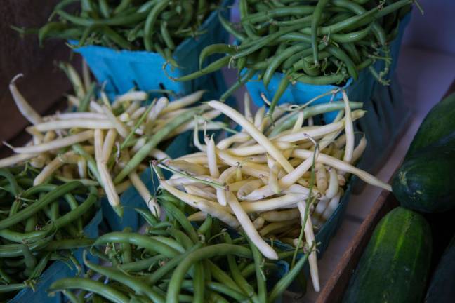 Farm fresh to the restaurant table Beans are in abundance this year.