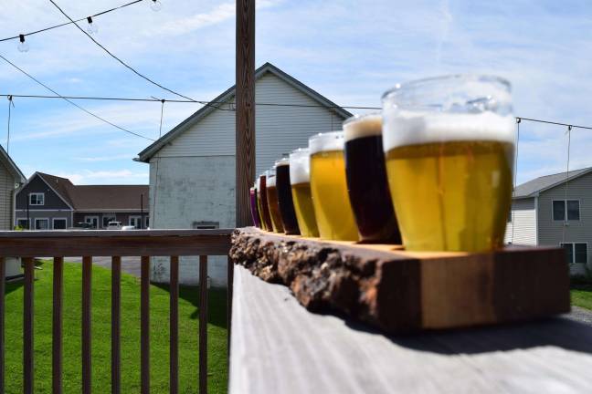 Pine Island Brewing Company: A beer garden budding friendships Pine Island Brewing Company, a hip local brewery complete with 12 beers on tap and an outdoor beer garden, will be one of the stops on Dirt’s Brew Hop on June 9.