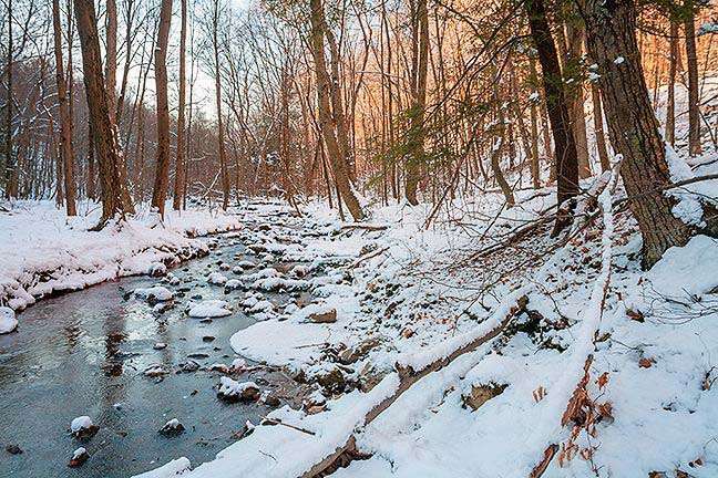 On foot or by snowshoe Photoy by Nick Zungoli Orange County Land Trust will lead a winter hike - either on foot or snowshoe, depending on snow coverage - on Saturday, Feb. 9, beginning at 10 a.m. at Fuller Mountain Preserve, the Land Trustís 255-acre nature preserve off Bowen Road in the Town of Warwick.