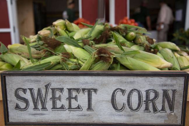 Farm fresh to the restaurant table Sweet corn is in season.