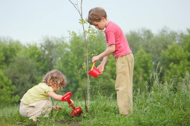 Receive 10 free trees by joining the Arbor Day Foundation in August Receive 10 free trees by joining the Arbor Day Foundation in August