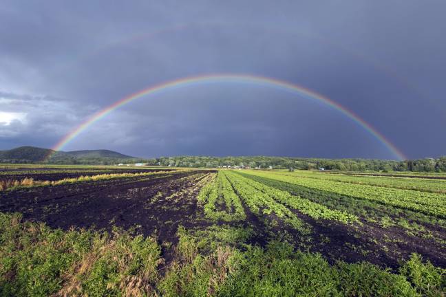 Rainbows over green fields and black dirt Rainbows over green fields and black dirt