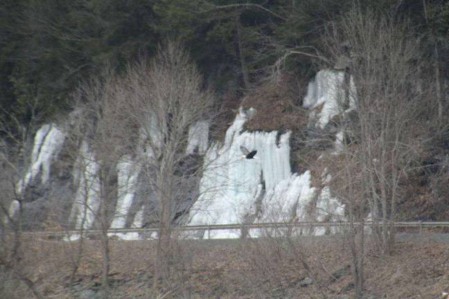Bald Eagle watching in Pike County Soaring high near some frozen ice.