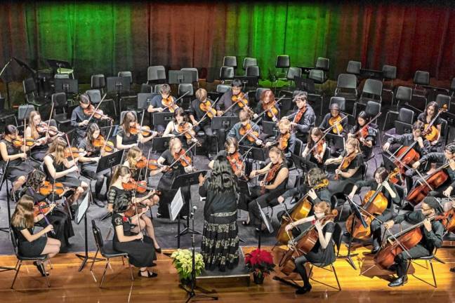 WVHS Chamber Orchestra to participate in master class