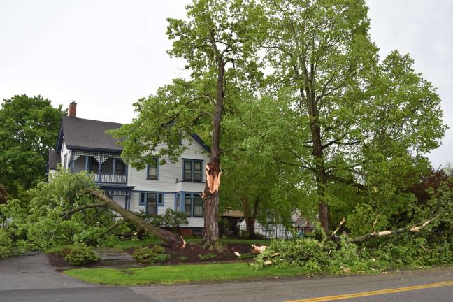 County wants your photos of storm damage Some of the magnificent trees gracing South Church Street in Goshen suffered damage (Photo by Erika Norton)