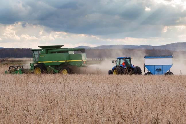 Harvest Harvest