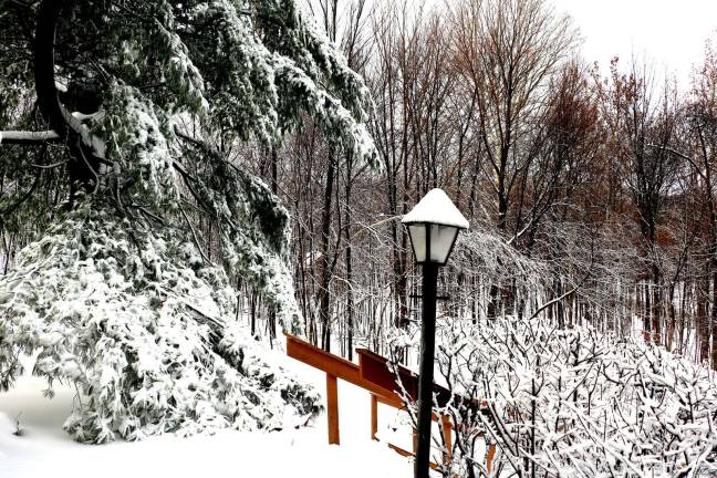 First snow storm of the season catches local area by surprise Photo by Roger Gavan Residents in the higher elevations were reporting totals of as much as a foot or more with drifts.