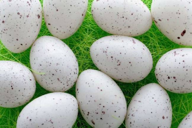 Where and when to hunt for Easter eggs Children will take to lawns and fields for a delightful spring ritual - the Easter egg hunt - this Saturday, March 31.