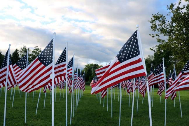 Warwick Valley Rotary Club's Flags for Heroes raises $6,500 for charity Photo by Roger Gavan There were 203 flags, an increase of 78 flags over last year, flying with plaques identifying each hero.