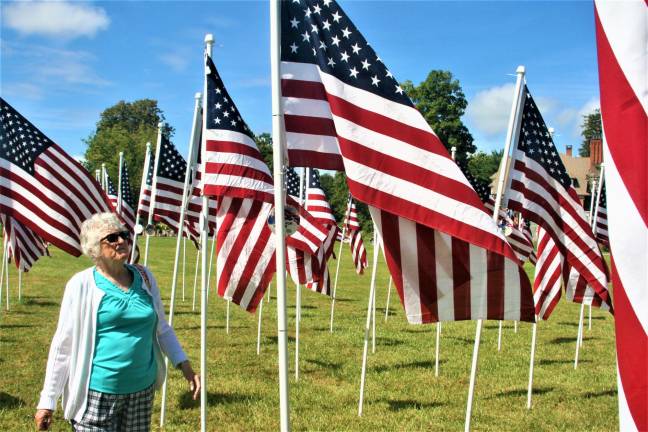 Lareine Barry checks the name on a flag in the Flags for Heroes display on Route 94. Barry said she was looking for her son, Rev. Michael Barry, Jr. who served 21 years in the United States Air Force before retiring in 2011.