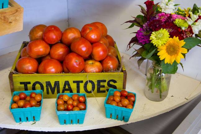 Farm fresh to the restaurant table Tomatoes for sale.