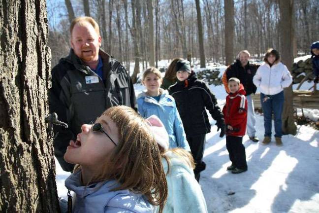 Maple Sugar Festival and tours begin March 3 at the Hudson Highlands Nature Museum Photos by George Potanovic Jr. Maple Sugaring begins at the Hudson Highlands Nature Museum with a festival on Saturday, March 3, from 10:30 a.m. to 3 p.m. Tours are every weekend through Sunday, March 25.