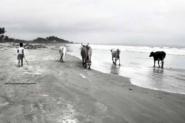 Award winning professional photographer, artist Star Nigro featured at SUNY Orange gallery Latin American Series: Black and white photo of young herder.