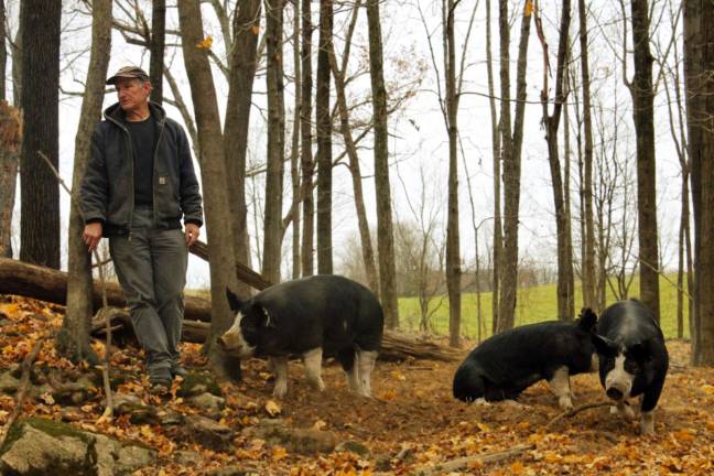 William Brown named Orange County Land Trust president Photo provided William Brown, who with his wife owns and operates Lowland Farm in Warwick’s Amity region, has been named Orange County Land Trust president.