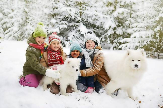 Get your family outside in cooler weather. It’s good for you. Get your family outside in cooler weather. It’s good for you.