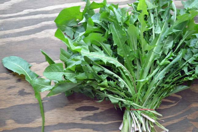 Edible plants and stars Dandelion greens are among the most common edible plants.
