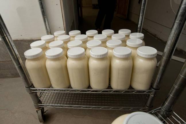 Fresh raw milk at Freedom Hill Farm.