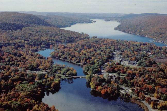 Bids for weed-harvesting, herbicide application sought Bids for weed-harvesting, herbicide application sought