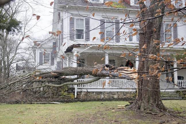Warwick. Christmas morning storm A tree limb fell causing damage to a home on Colonial Avenue.