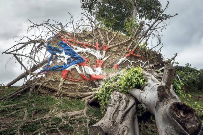 Painted Puerto Rico state flag on uprooted tree from Hurricane Maria in San Juan, Puerto Rico.