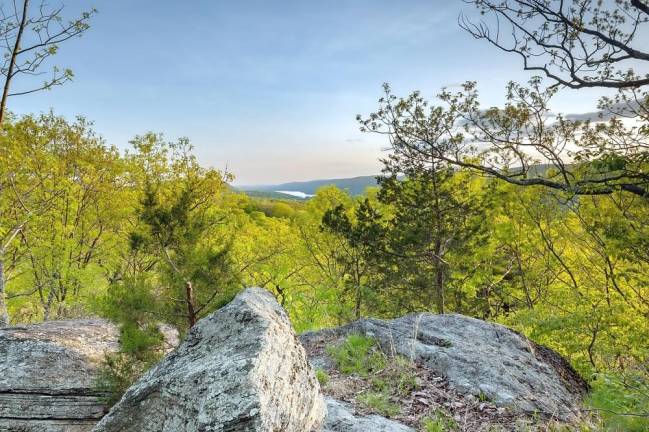 The Orange County Land Trust has announced the protection of 73 acres of forest near Greenwood Lake. The land was once part of Greenwood Forest Farms, the first African-American resort community in New York State.