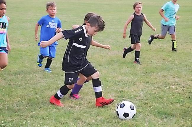 Summer rec programs had 1000 kids playing in Village of Warwick