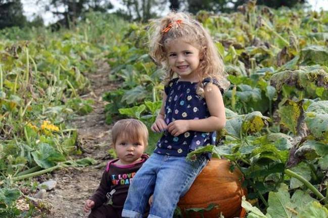 Seasonal pumpkins bring more 'orange' to Orange County Provided photo Wright Family Farm in Warwick is one of the premier pumpkin patches in Orange County.