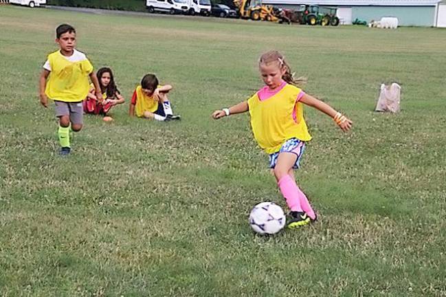 Summer rec programs had 1000 kids playing in Village of Warwick