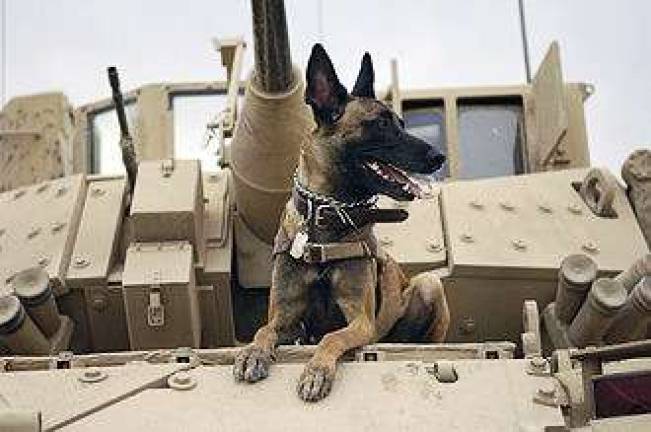 GWL library host program on War Dogs Four-legged Heroes GWL library host program on War Dogs Four-legged Heroes