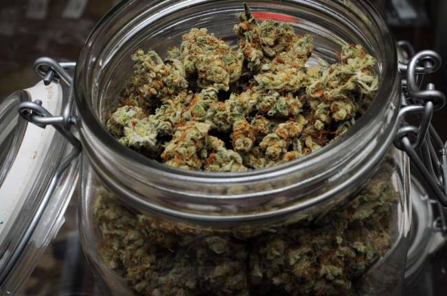 Marijuana is not benign, addiction expert says Marijuana is not benign, addiction expert says