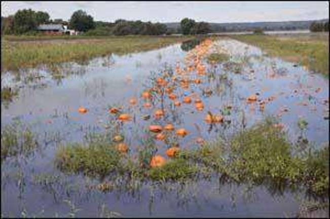 Flooded farmers to officials: 'We need help now!' Flooded farmers to officials: 'We need help now!'