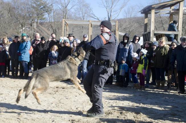 From New York State Police K-9 unit Trooper Matthew Hinz gave an outstanding talk and demonstration about dogs working with police officers. Hinz is the handler of Tomi, a female German shepherd trained in narcotics detection, tracking, and handler protection. Tomi was named after Sr. Inv. Thomas G Moran Jr. of Troop NYC. Tomi the K-9 is quoted as saying, “Always give 110%.”